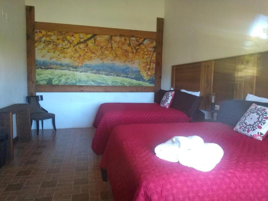 Hotel Hacienda Las Marias Meoqui Dış mekan fotoğraf